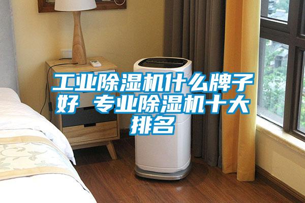 宝马电子游戏平台网址什么牌子好 专业除湿机十大排名