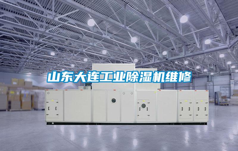 山东大连宝马电子游戏平台网址维修