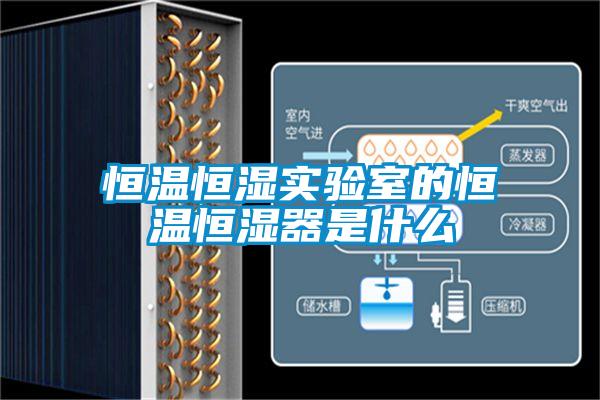 恒温恒湿实验室的恒温恒湿器是什么