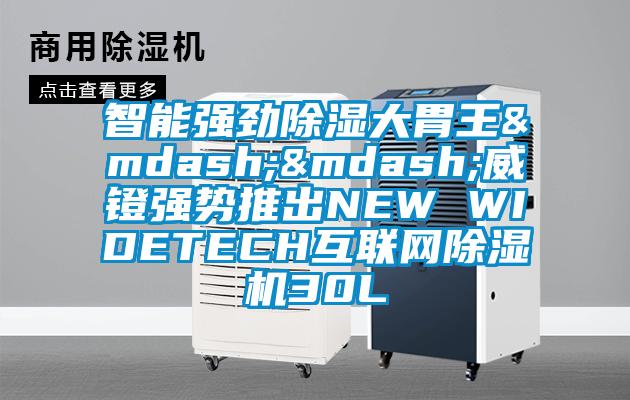 智能强劲除湿大胃王&mdash;&mdash;威镫强势推出NEW WIDETECH互联网除湿机30L