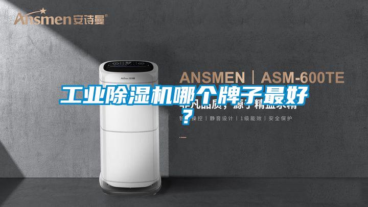 宝马电子游戏平台网址哪个牌子最好？