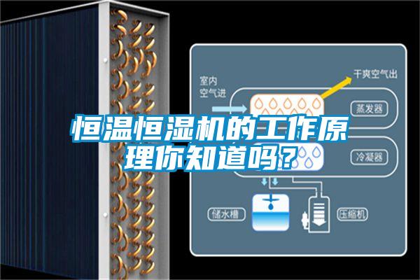 恒温恒湿机的工作原理你知道吗？