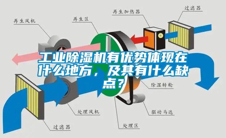 宝马电子游戏平台网址有优势体现在什么地方，及其有什么缺点？