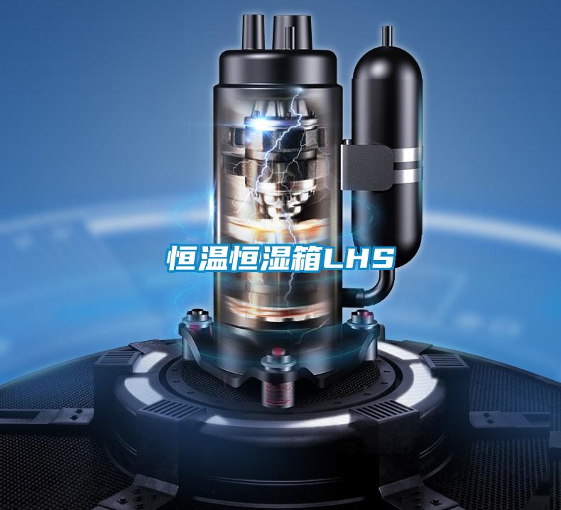 恒温恒湿箱LHS