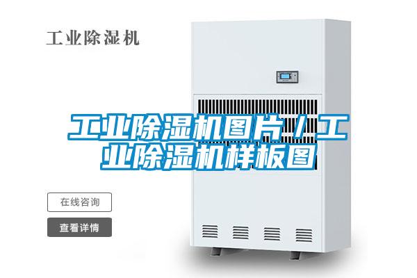 宝马电子游戏平台网址图片／宝马电子游戏平台网址样板图