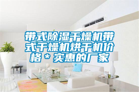 带式除湿干燥机带式干燥机烘干机价格＊实惠的厂家