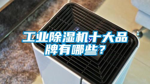 宝马电子游戏平台网址十大品牌有哪些？