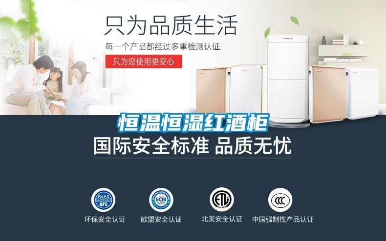 恒温恒湿红酒柜