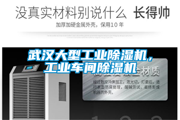 武汉大型宝马电子游戏平台网址，工业车间除湿机