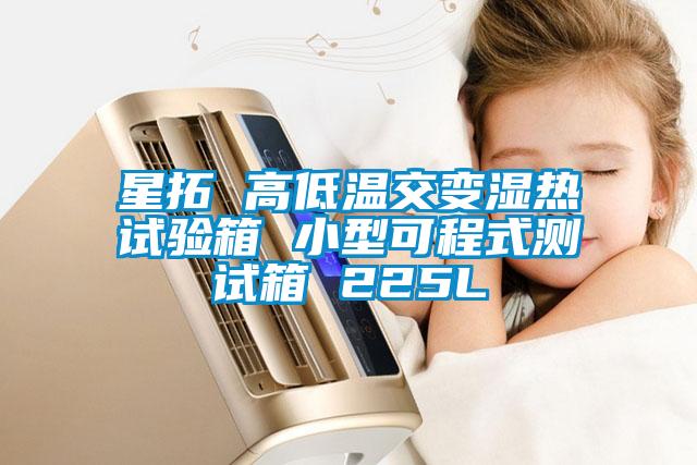 星拓 高低温交变湿热试验箱 小型可程式测试箱 225L