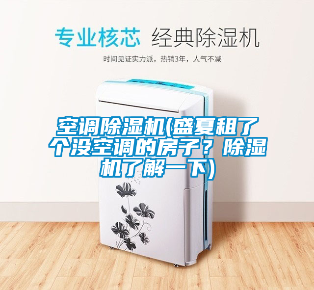 空调除湿机(盛夏租了个没空调的房子？除湿机了解一下)