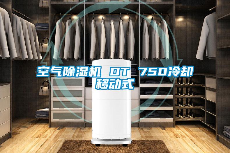 空气除湿机 DT 750冷却移动式
