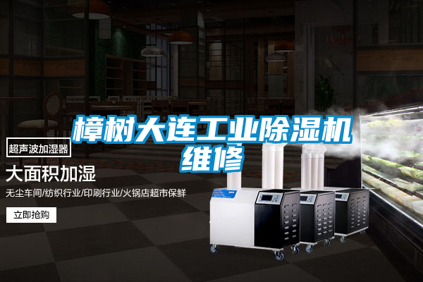 樟树大连宝马电子游戏平台网址维修