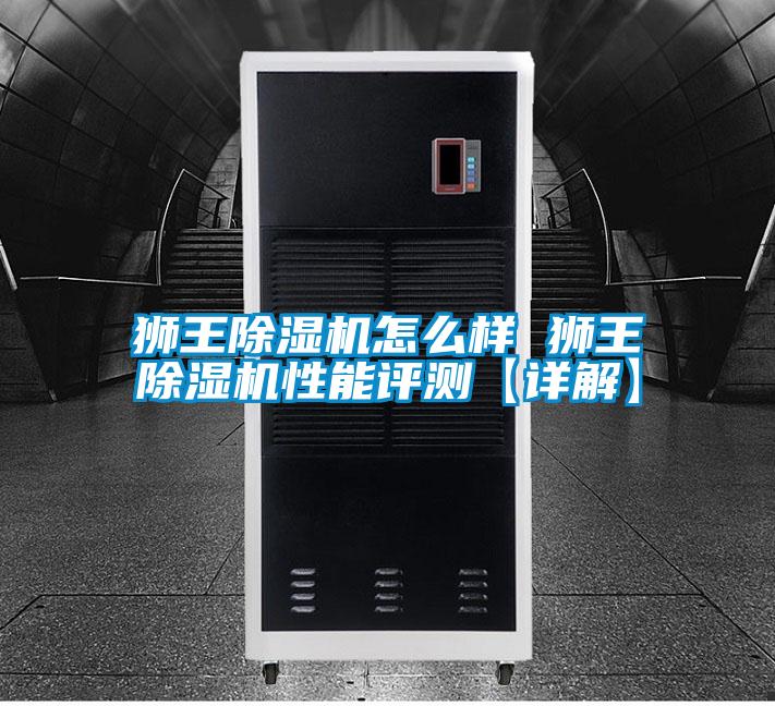 狮王除湿机怎么样 狮王除湿机性能评测【详解】