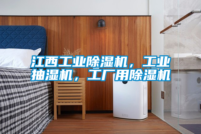 江西宝马电子游戏平台网址，工业抽湿机，工厂用除湿机