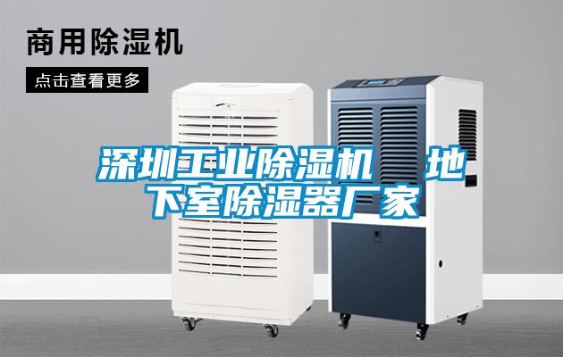 深圳宝马电子游戏平台网址  地下室除湿器厂家