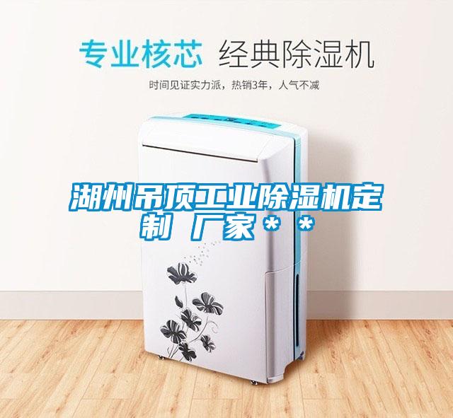 湖州吊顶宝马电子游戏平台网址定制 厂家＊＊