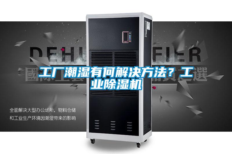 工厂潮湿有何解决方法？宝马电子游戏平台网址