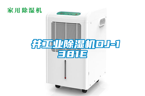 東井宝马电子游戏平台网址DJ-1381E