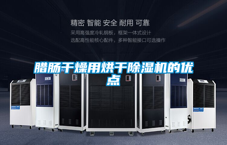 腊肠干燥用烘干除湿机的优点