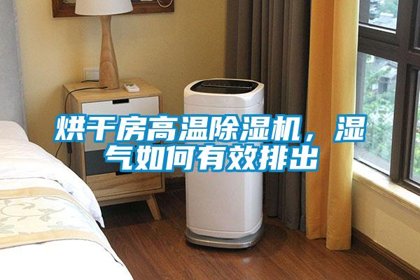 烘干房高温除湿机，湿气如何有效排出