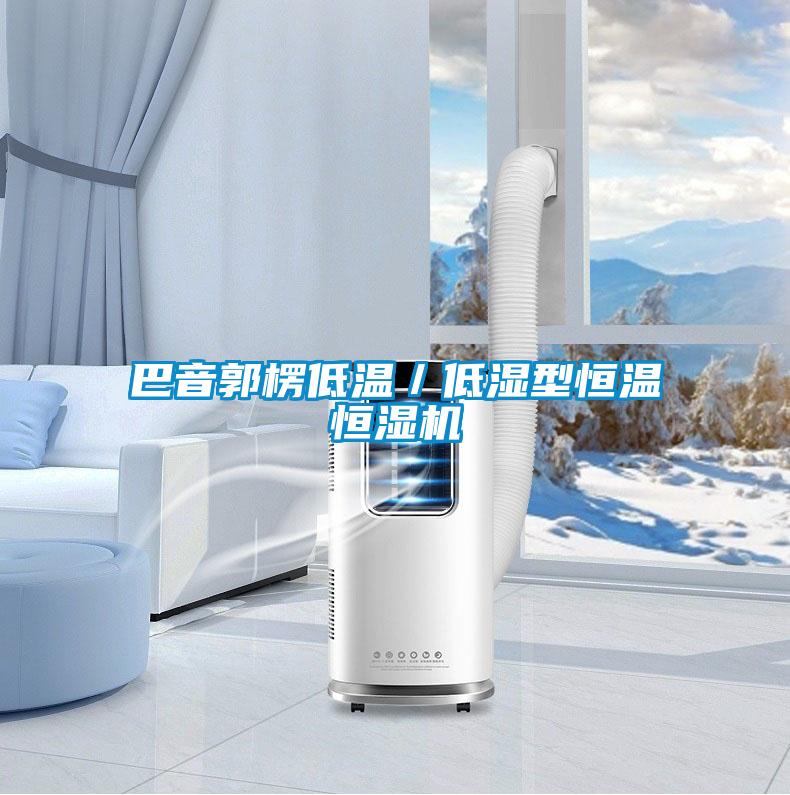 巴音郭楞低温／低湿型恒温恒湿机