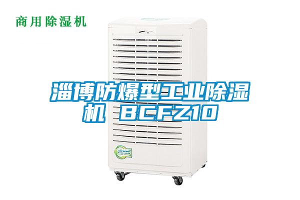 淄博防爆型宝马电子游戏平台网址 BCFZ10