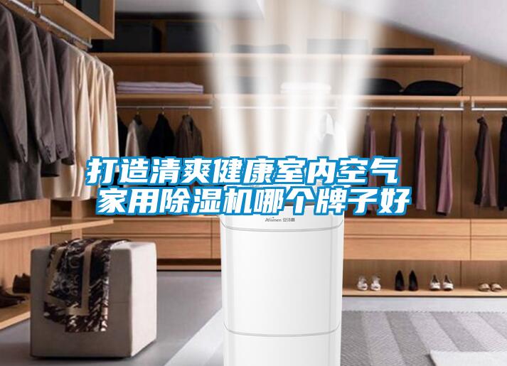打造清爽健康室内空气 家用除湿机哪个牌子好