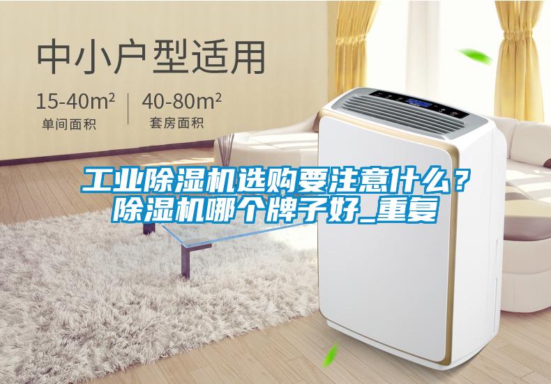 宝马电子游戏平台网址选购要注意什么？除湿机哪个牌子好_重复