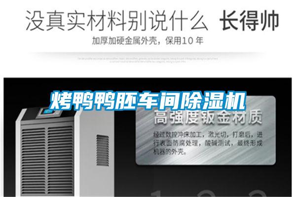 烤鸭鸭胚车间除湿机