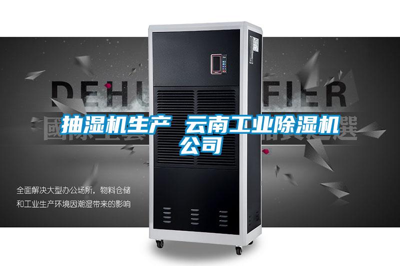 抽湿机生产 云南宝马电子游戏平台网址公司