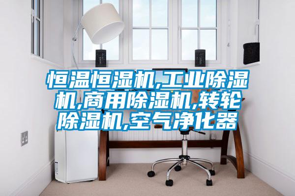 恒温恒湿机,宝马电子游戏平台网址,商用除湿机,转轮除湿机,空气净化器