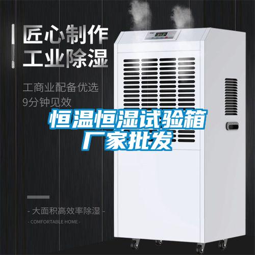 恒温恒湿试验箱厂家批发