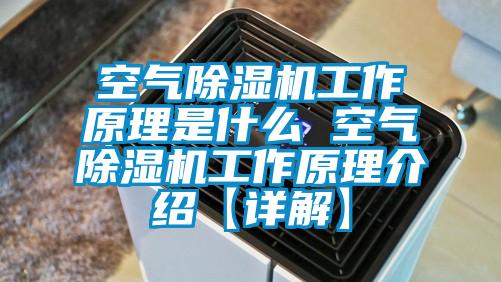 空气除湿机工作原理是什么 空气除湿机工作原理介绍【详解】