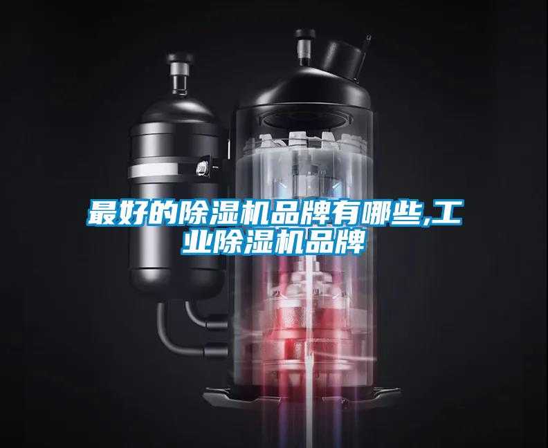 最好的除湿机品牌有哪些,宝马电子游戏平台网址品牌