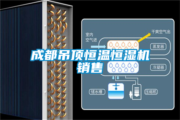 成都吊顶恒温恒湿机销售