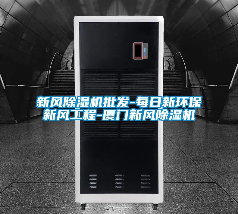 新风除湿机批发-每日新环保新风工程-厦门新风除湿机