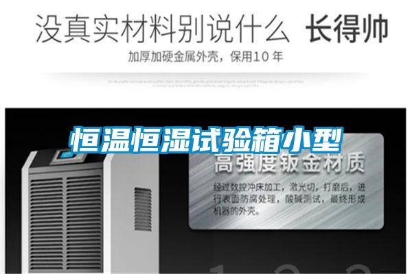 恒温恒湿试验箱小型