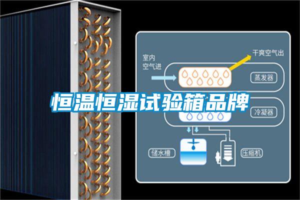 恒温恒湿试验箱品牌