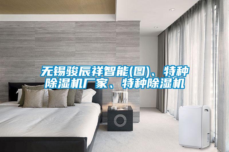 无锡骏辰祥智能(图)、特种宝马电子游戏娱乐、特种除湿机