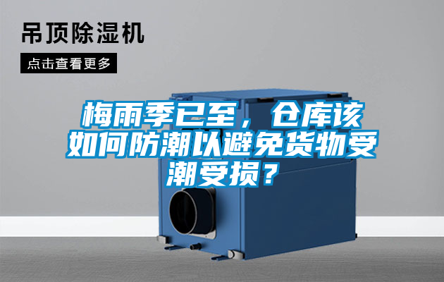 梅雨季已至，仓库该如何防潮以避免货物受潮受损？