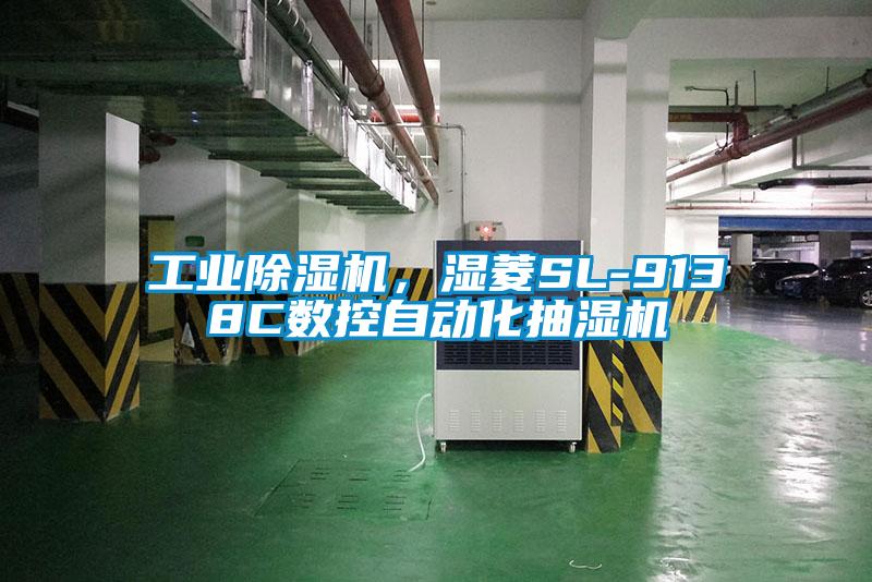 宝马电子游戏平台网址，湿菱SL-9138C数控自动化抽湿机