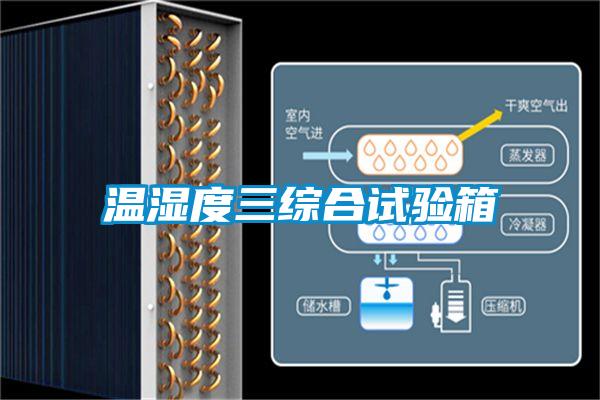 温湿度三综合试验箱