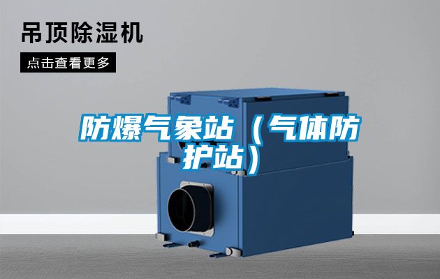 防爆气象站（气体防护站）