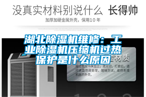 湖北除湿机维修：宝马电子游戏平台网址压缩机过热保护是什么原因