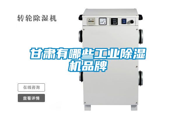 甘肃有哪些宝马电子游戏平台网址品牌