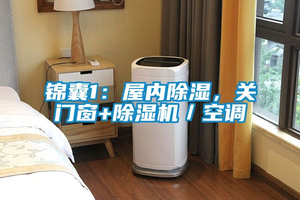 锦囊1：屋内除湿，关门窗+除湿机／空调