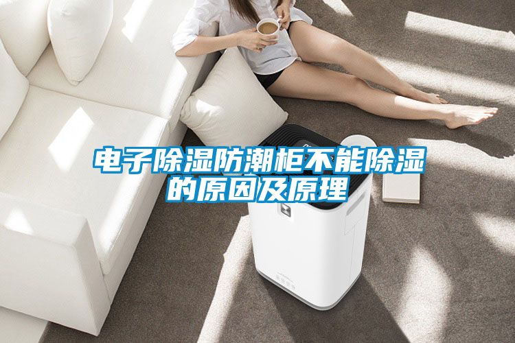 电子除湿防潮柜不能除湿的原因及原理
