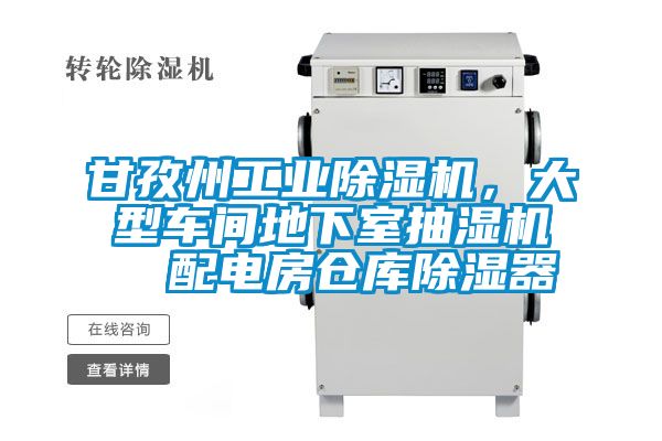 甘孜州宝马电子游戏平台网址，大型车间地下室抽湿机  配电房仓库除湿器