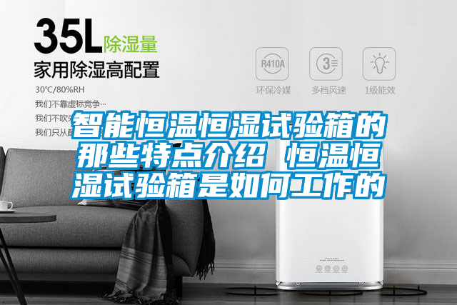 智能恒温恒湿试验箱的那些特点介绍 恒温恒湿试验箱是如何工作的